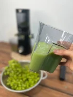 عصاره گیر مگامیت مدل 217 و 219 | VITAMIN PRO/PLUS آبمیوه گیری آهسته (Slow Juicer) - تصویر 3